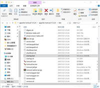 教你如何测试Tomcat是否启动成功