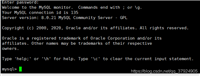 如何查看docker中mysql的版本问题