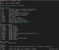 docker基本使用方法入门示例