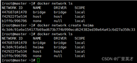 Docker容器网络互联的项目实践