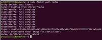 Ubuntu使用Docker部署Redis并实现远程访问本地数据库全过程