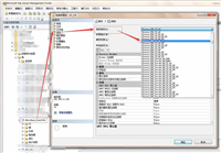 SQL Server 2008中SQL查询语句字段值不区分大小写的问题解决