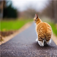 适合面向ChatGPT编程的架构示例详解