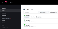 .Net Core服务治理Consul搭建集群