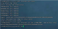 .Net Core服务治理Consul健康检查