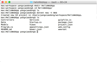 在MacOS+Linux+Nginx中发布和部署Asp.Net Core