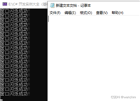 C#实现标题闪烁效果的示例代码