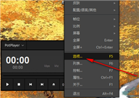 PotPlayer如何设置快进秒数 PotPlayer设置快进秒数的方法