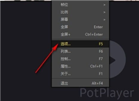 PotPlayer如何开启自动旋转视频方向 PotPlayer开启自动旋转视频方向的方法