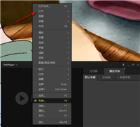 PotPlayer如何用链接观看视频 PotPlayer用链接观看视频的方法