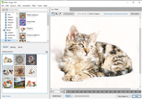如何安装Filter Forge Studio Edition免费版?滤镜编辑器安装教程