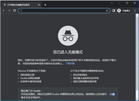 谷歌浏览器怎么默认无痕浏览? chrome打开自动无痕浏览网页的技巧