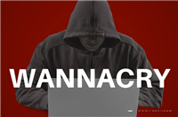 勒索病毒最新变种惊现!僵尸网络扩散中