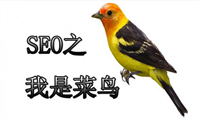网站域名会影响seo优化吗?
