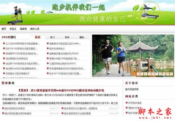 seo优化 黑帽seo 网络赚钱