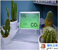 揭开电脑辐射之谜 关于仙人掌能不能防辐射的介绍