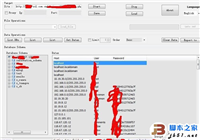 中关村在线博客子站SQL注入及修复方案