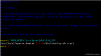 Tomcat在linux环境中开机自启(定时重启)的方法