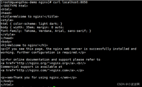 docker搭建nginx的实现步骤