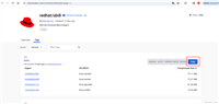 docker 创建RedHat8.5镜像的命令