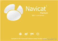 Navicat Premium连接Oracle数据库的2种方式