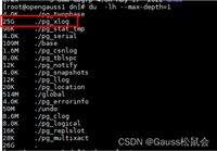 快速解决openGauss数据库pg_xlog爆满问题