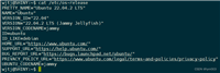 ASP.NET Core设置URLs的方法汇总(完美解决.NET 6项目局域网IP地址远程无法访问的问题)