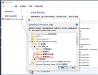 IIS上部署你的ASP.NET Core Web Api项目及Swagger(图文)