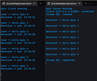 基于.NET 7 的 QUIC 实现 Echo 服务的详细过程