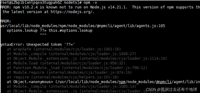 NPM命令运行报错:npm v10.2.4 is known not to run on Node.js v14.21.1解决办法