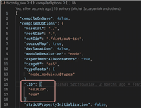 Angular应用tsconfig.json中的lib属性示例解析