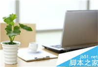 什么植物放在电脑前比较好