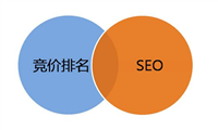 SEO和竞价排名到底哪个更好？