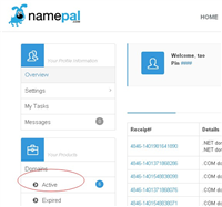 namepal域名解析教程,修改dns,获取转移码教程