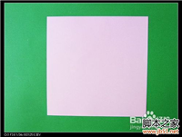 百合花的折法,百合花的折法图解