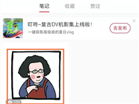 小红书怎么置顶评论? 小红书评论置顶的技巧