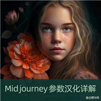 midjourney iw指令怎么用? Midjourney中19个常用命令参数汉化详解