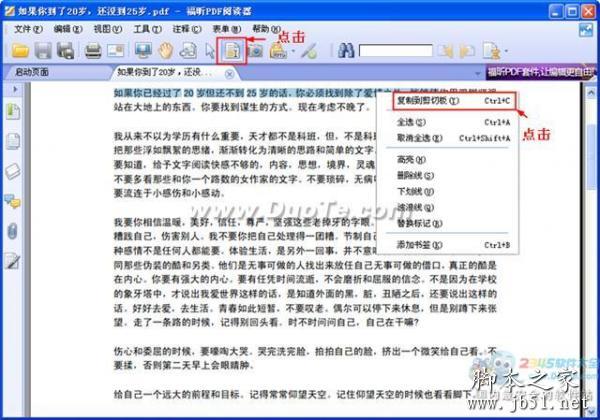 如何复制pdf中的内容,pdf转换成txt方法