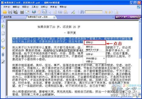 如何复制pdf中的内容,pdf转换成txt方法