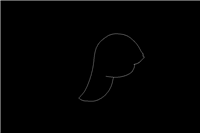 CAD怎么画小乌龟矢量图? 简笔画小乌龟cad画法