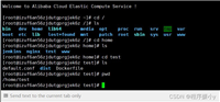 docker+Nginx部署前端项目的详细过程记录