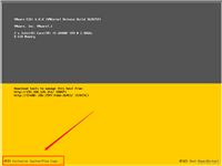 VMware vSphere ESXi系统设置静态IP的方法
