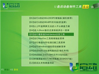 u启动HDD Regenerator dos版硬盘坏道检测工具使用教程