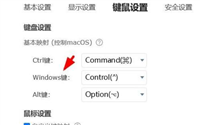 ToDesk怎么配置windows键?ToDesk配置windows键教程
