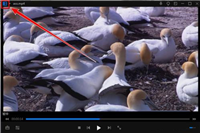 暴风影音如何开启记忆播放进度?暴风影音开启记忆播放进度教程