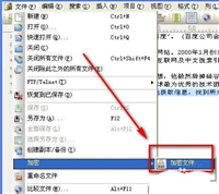 UltraEdit如何加密文件? UltraEdit设置加密后删除源文件的技巧