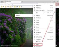 edgeV88版没有flash怎么办? edge浏览器安装flash功能的技巧