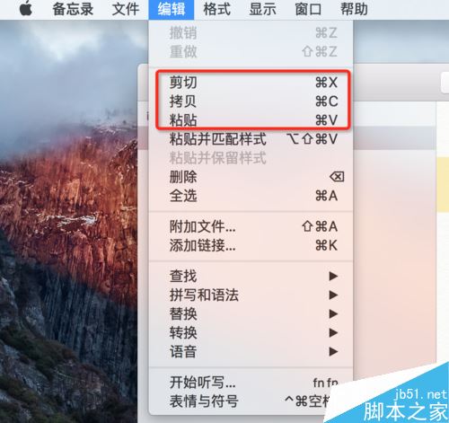 苹果mac系统复制粘贴快捷键是什么?