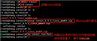 Docker容器Consul部署概述