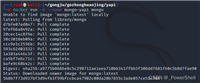 docker 搭建部署 YAPI 框架的详细过程